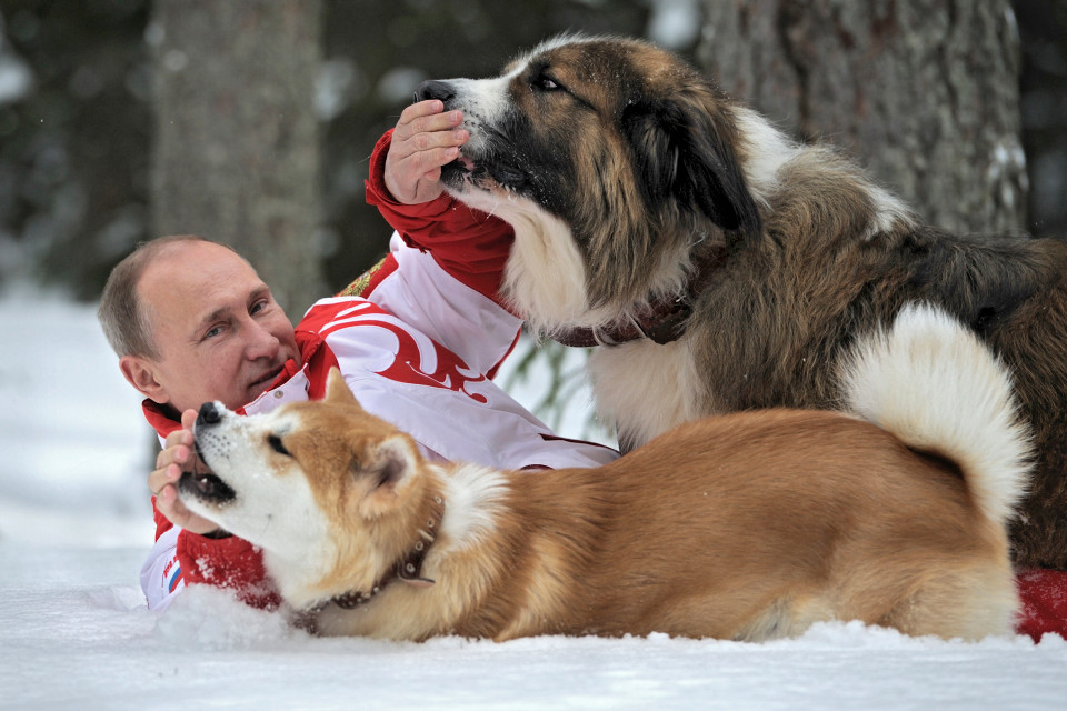 Putin 11 - 12 Vladimir Putin bilder