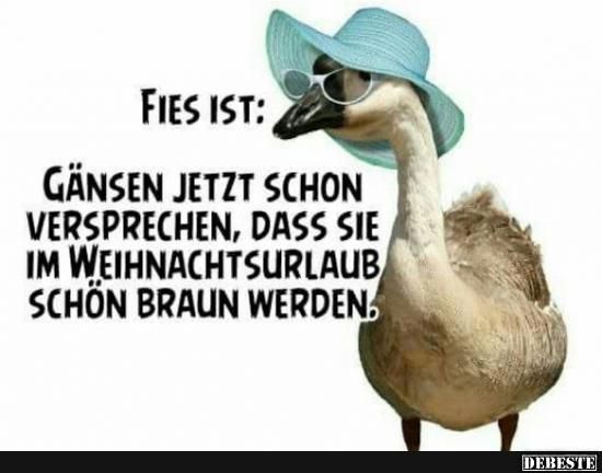 Lustige Sprüche Mit Bild Lustige Sprüche Mit Bild