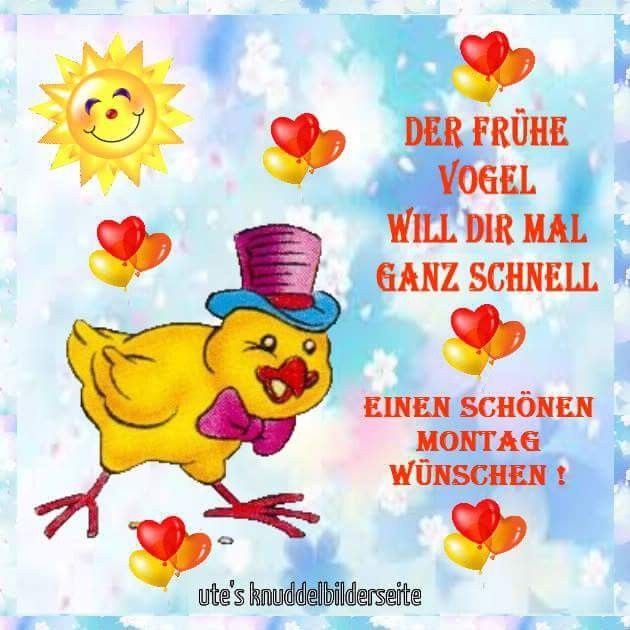 Montag Kann So Schön Sein Wenn Man Frei Hat Schönen montag lustig | Bilder und Sprüche für Whatsapp und Facebook