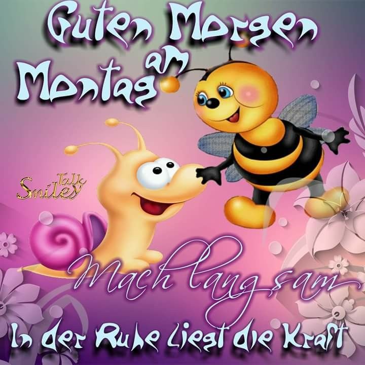 sprüche zum montag Bilder und Sprüche für Whatsapp und Facebook kostenlos