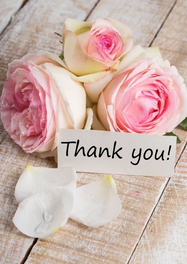 Danke Liebe Grüße Zurück Bilder Geburtstagsgrüße danke sagen | Bilder und Sprüche für Whatsapp und