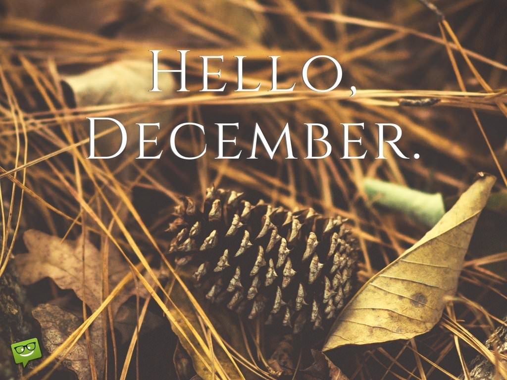Hallo Dezember 5 - Hallo Dezember