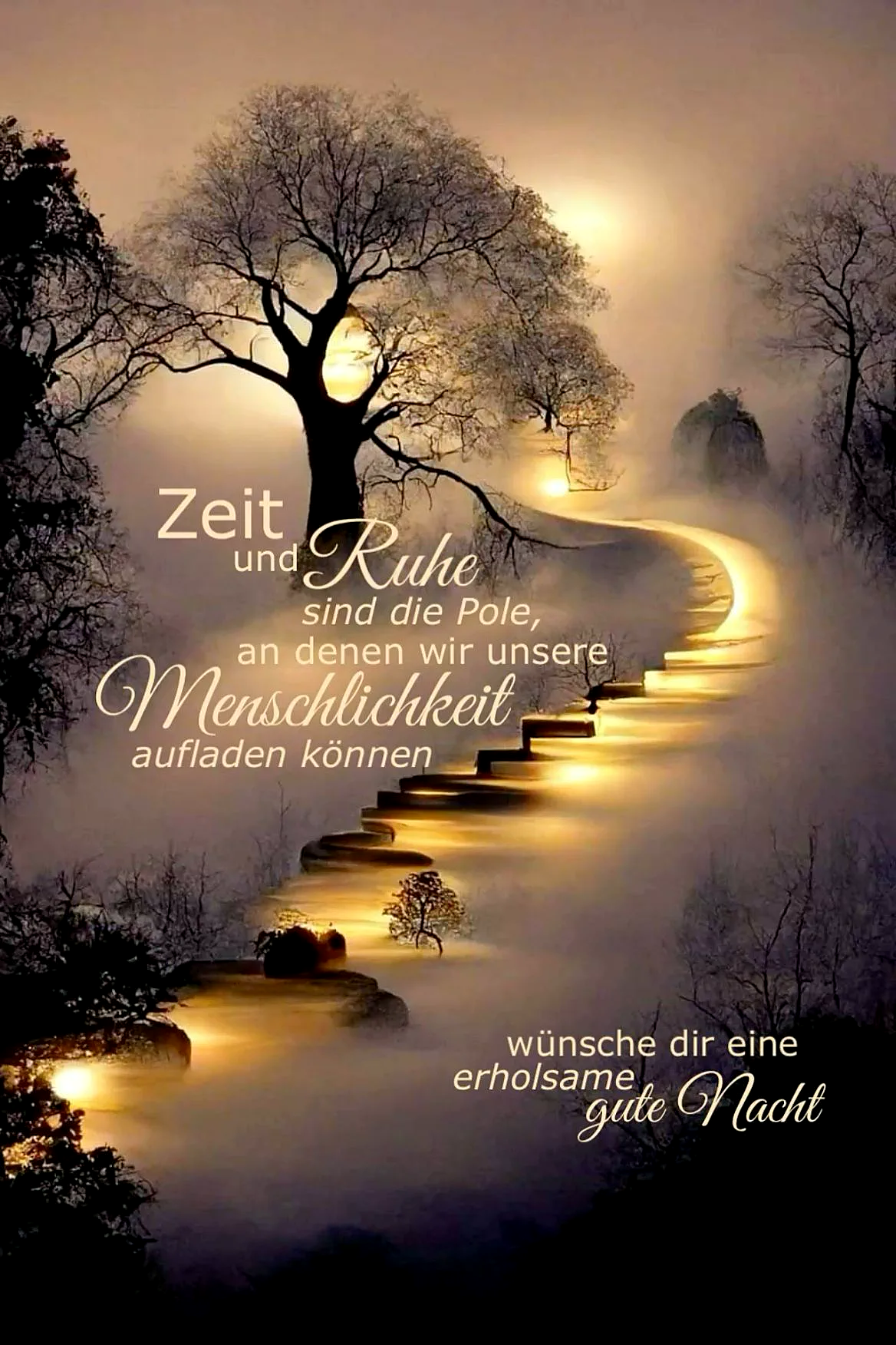 Ein beleuchteter Weg führt durch einen nebeligen Wald mit kahlen Bäumen, die Sonne scheint durch die Bäume. Der Weg ist von einer ruhigen, friedlichen Atmosphäre umgeben.