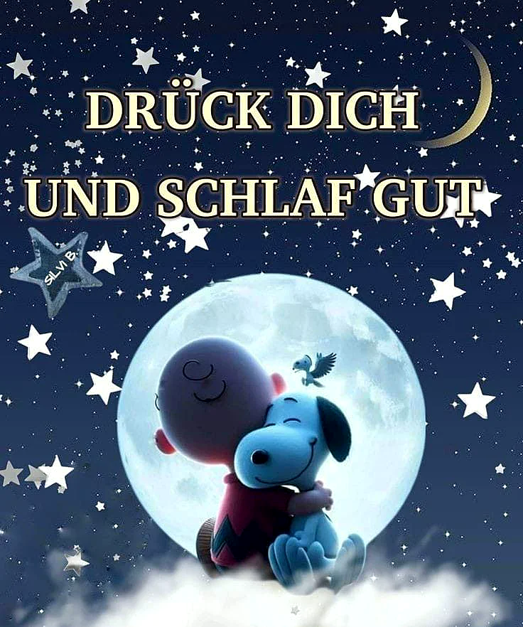 Ein herzerwärmendes Gute-Nacht-Bild mit zwei Cartoon-Figuren, die sich liebevoll umarmen. Sie sitzen vor einem leuchtenden Vollmond unter tiefblauem Sternenhimmel. Der Gruß 'DRÜCK DICH UND SCHLAF GUT' vermittelt Geborgenheit und Ruhe.