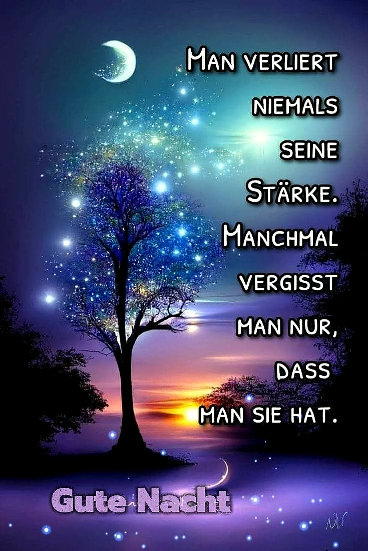 Ein Baum unter einem sternenklaren Himmel mit einem Mond, Sonnenuntergang im Hintergrund, viele Sterne und ein ruhiger See.