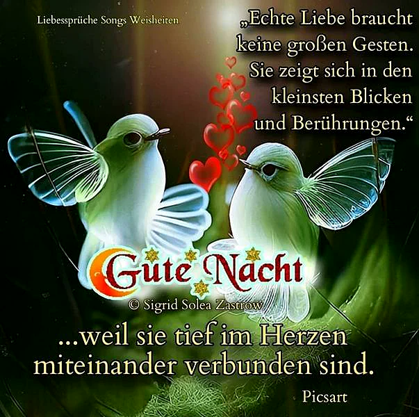 Zwei leuchtende Vögel in sanftem Grünlicht, umrahmt von roten Herzen auf dunklem Grund. Der Gruß "Gute Nacht" leuchtet mit Sternen und einem Mond, ergänzt durch einen Spruch über tiefe Liebe und Verbundenheit. Ein emotionales Bild für innige Abendgrüße.