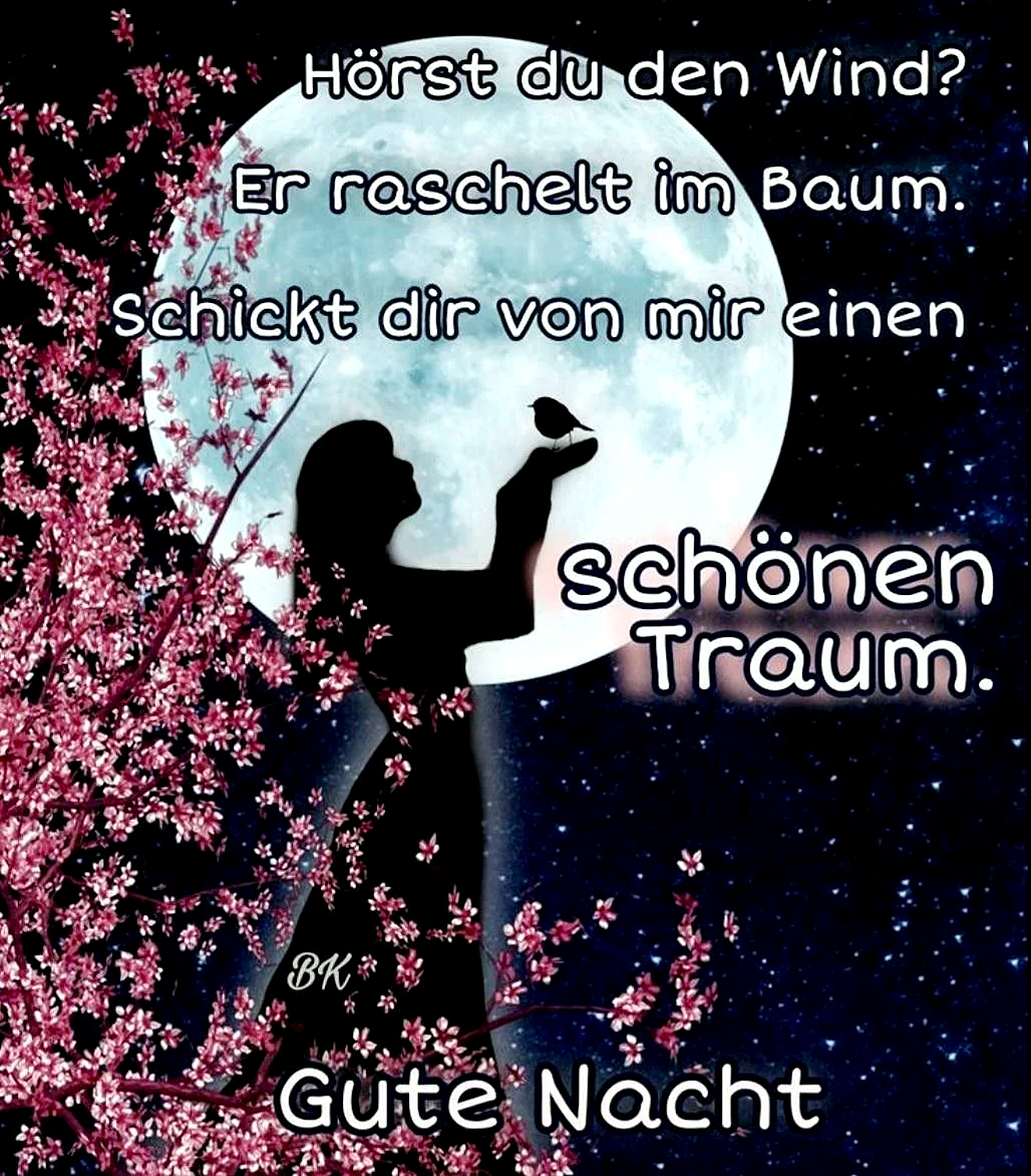 Silhouette einer Frau, die unter einem großen, leuchtenden Mond einen kleinen Vogel auf ihrer ausgestreckten Hand hält, umrahmt von zarten rosafarbenen Blüten eines Baumes vor einem sternenklaren Nachthimmel. Stimmungsvoll und friedlich.