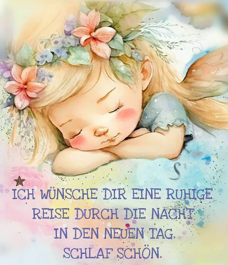 Ein süßes Mädchen mit Blumen im Haar liegt schlafend auf einem pastellfarbenen Hintergrund. Der Text "Ich wünsche dir eine ruhige Reise durch die Nacht in den neuen Tag. Schlaf schön" ist in blauem Text über das Bild gelegt.