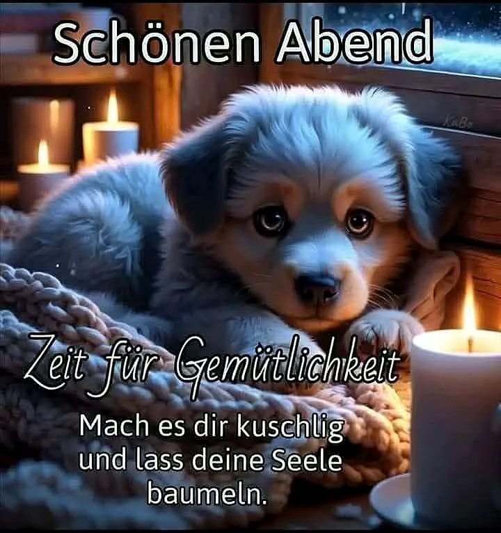 Ein niedliches, graues Welpe liegt auf einer Decke neben einer Kerze und schaut direkt in die Kamera, während draußen Schnee fällt.