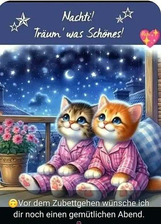 Zwei entzückende Kätzchen in pinken Schlafanzügen sitzen vor einem Fenster mit sternenklarem Nachthimmel und lächeln sanft. Ein Blumentopf mit rosa Blüten und ein Kissen sind ebenfalls sichtbar, was eine gemütliche und beruhigende Atmosphäre schafft.