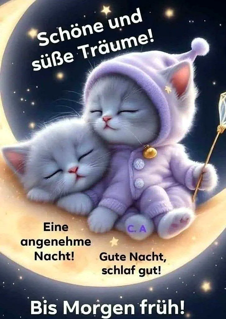 Zwei niedliche, flauschige Kätzchen, eines davon in lila Pyjama, schlafen geborgen auf einer leuchtenden Mondsichel im sternenklaren Nachthimmel. Eine friedliche Szene voller Wärme und süßer Träume.