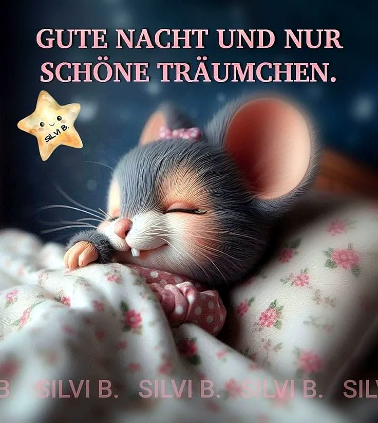 Ein süßes, graues Mäuschen mit großen Ohren schläft unter einer weißen Decke mit rosa Blumen. Ein kleiner, gelber Stern mit einem Gesicht und dem Text 'SILVI B.' ist im Hintergrund sichtbar.