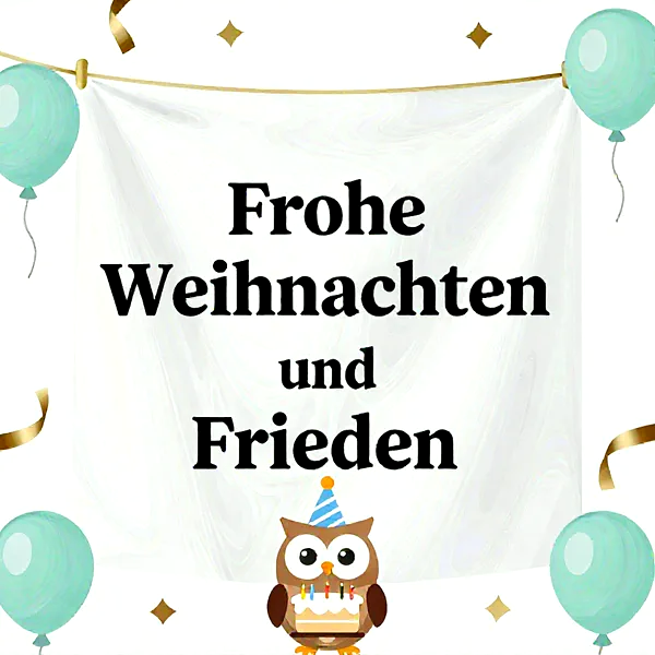 Eule mit Partyhut und Torte vor weißem Banner mit Weihnachtsgruß