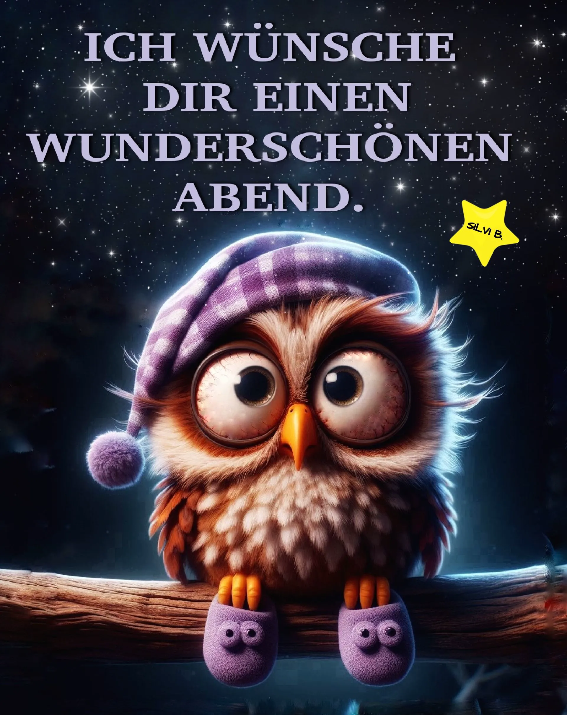 Niedliche Cartoon-Eule mit Schlafhaube und Pantoffeln sitzt auf Ast vor Sternenhimmel. Text: 'Ich wünsche dir einen wunderschönen Abend.'