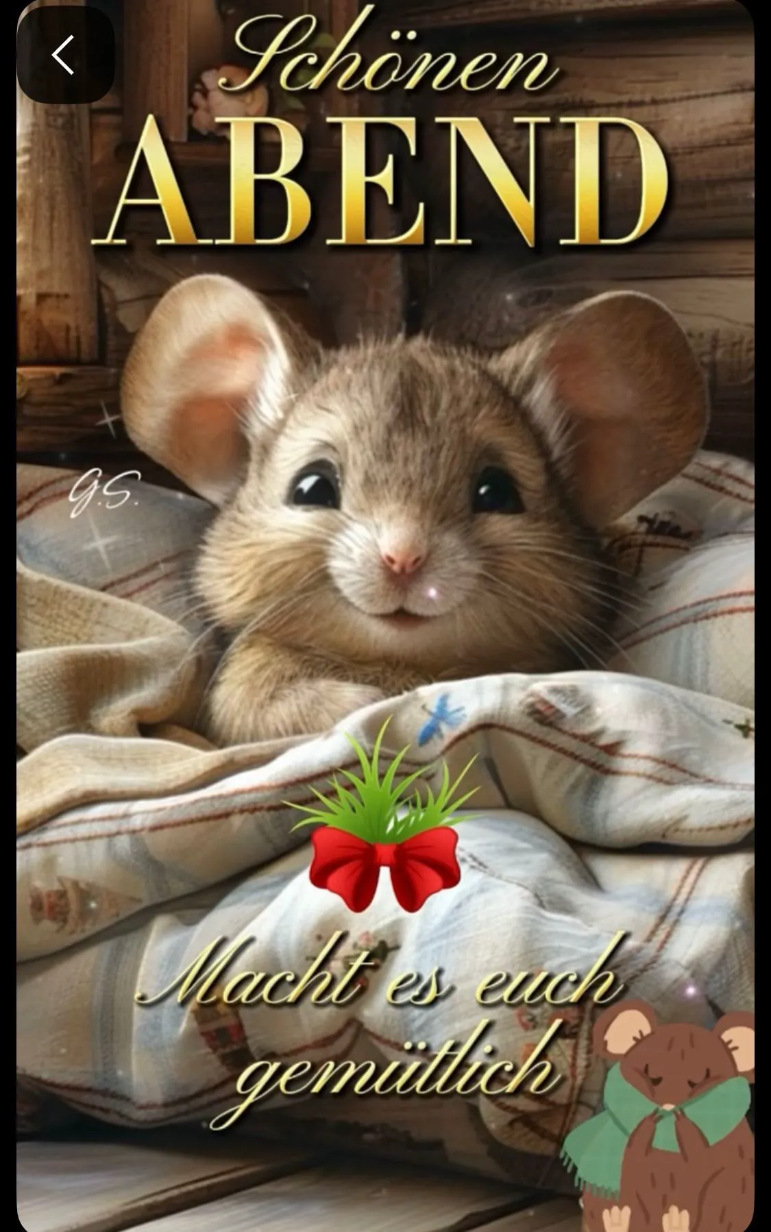 Ein niedliches Mäuschen auf einem gemütlichen Plaid mit goldenem Text Schönen Abend