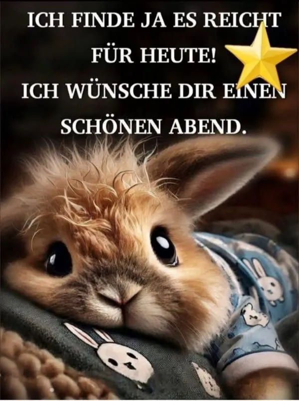 Ein niedliches, flauschiges Kaninchen in blauem Schlafanzug liegt entspannt da. Ein goldener Stern und der Abendgruß "Es reicht für heute!" sind sichtbar.