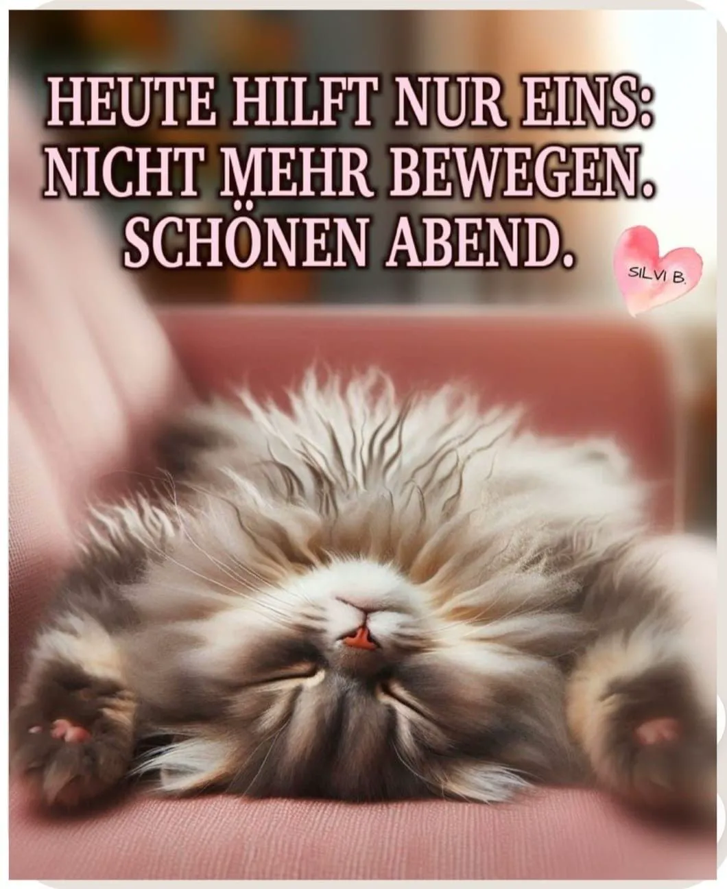 Flauschiges, graues Kätzchen liegt entspannt auf dem Rücken und schläft tief. Darüber der Text: "Heute hilft nur eins: Nicht mehr bewegen. Schönen Abend."