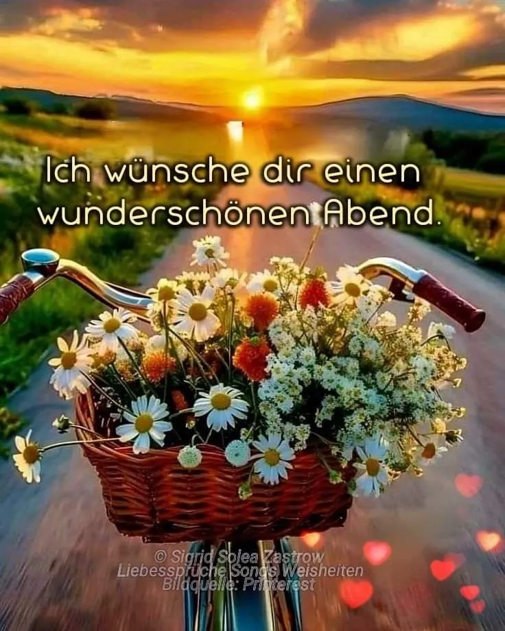 Ein wunderschöner Sonnenuntergang über einem Feldweg mit einem Fahrradkorb voller bunter Blumen, begleitet von roten Herz-Bokeh-Effekten, sendet Abendgrüße.