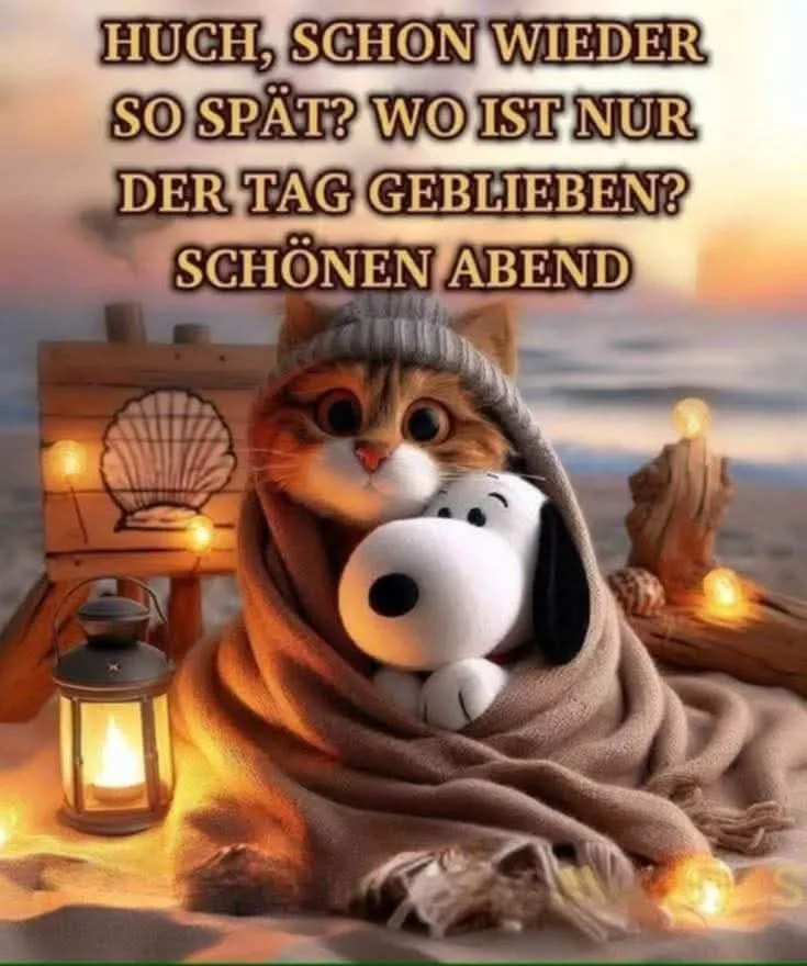 Ein süßes Kätzchen mit Mütze und Decke kuschelt mit einem Plüschtier am Strand bei Sonnenuntergang. Stimmungsvolles Guten-Abend-Grußbild mit leuchtenden Laternen am Meer.
