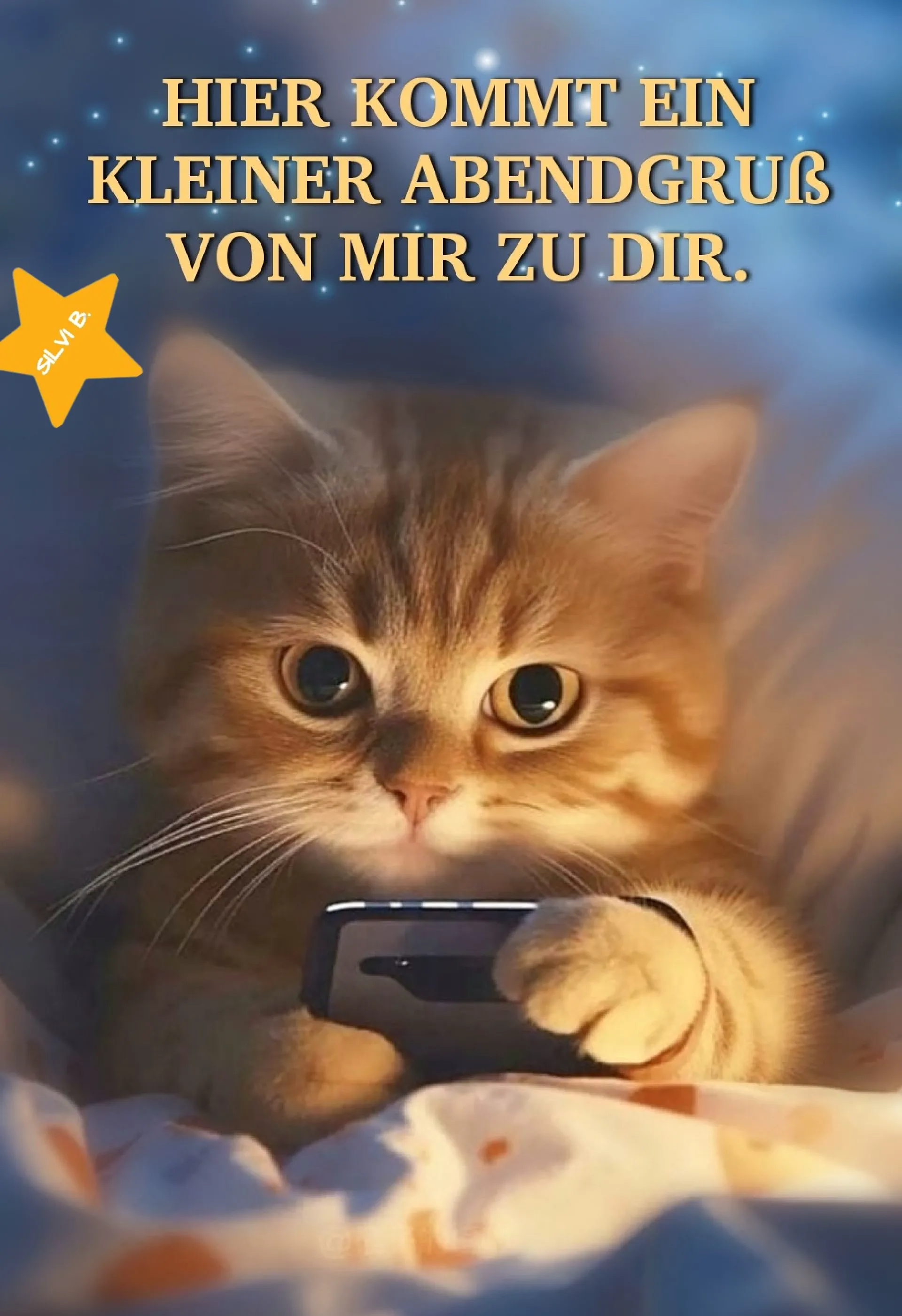 Ein süßes, getigertes Kätzchen liegt entspannt im Bett, hält ein Smartphone und verschickt einen Abendgruß. Im Hintergrund ein dunkler Abendhimmel mit funkelnden Sternen.