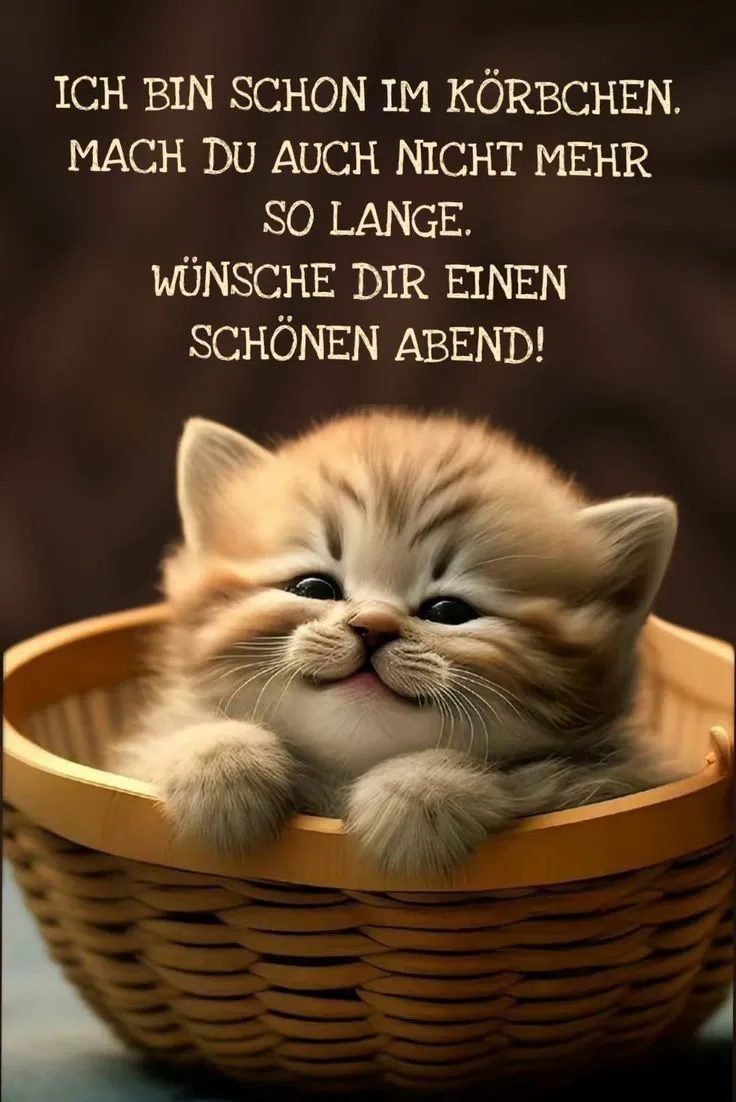 Ein niedliches orangefarbenes Kätzchen im Körbchen mit einem freundlichen Gesichtsausdruck