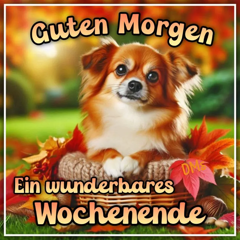 Ein kleiner, langhaariger Hund mit rötlichem und weißem Fell sitzt lächelnd in einem geflochtenen Korb, umgeben von leuchtenden Herbstblättern. Das Bild strahlt eine warme, fröhliche Wochenendstimmung aus, eingebettet in sanftes Morgenlicht.