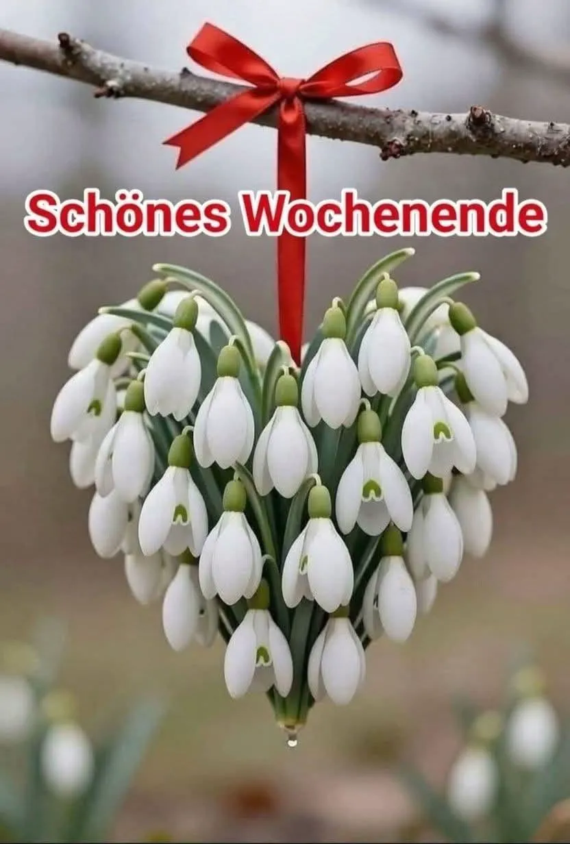 Ein liebevoll arrangiertes Herz aus weißen Schneeglöckchen hängt an einem kahlen Ast, befestigt mit einem leuchtend roten Band. Ein glänzender Wassertropfen hängt am unteren Ende. Der Hintergrund ist frühlingshaft unscharf und zeigt weitere Blüten. Der Text 'Schönes Wochenende' ist darauf zu sehen.