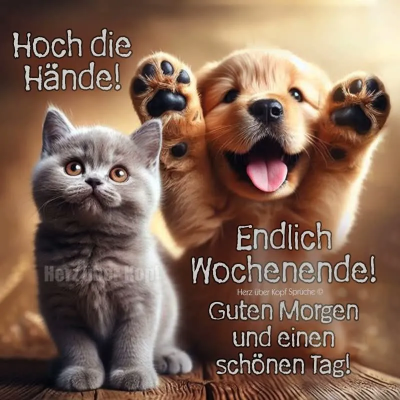 Ein flauschiges, graues Kätzchen sitzt neben einem aufgeregten goldenen Welpen. Der Hund streckt die Pfoten hoch, die Zunge hängt leicht heraus. Beide Tiere strahlen Freude aus. Sie stehen auf einer Holzoberfläche vor einem warmen, unscharfen Hintergrund.