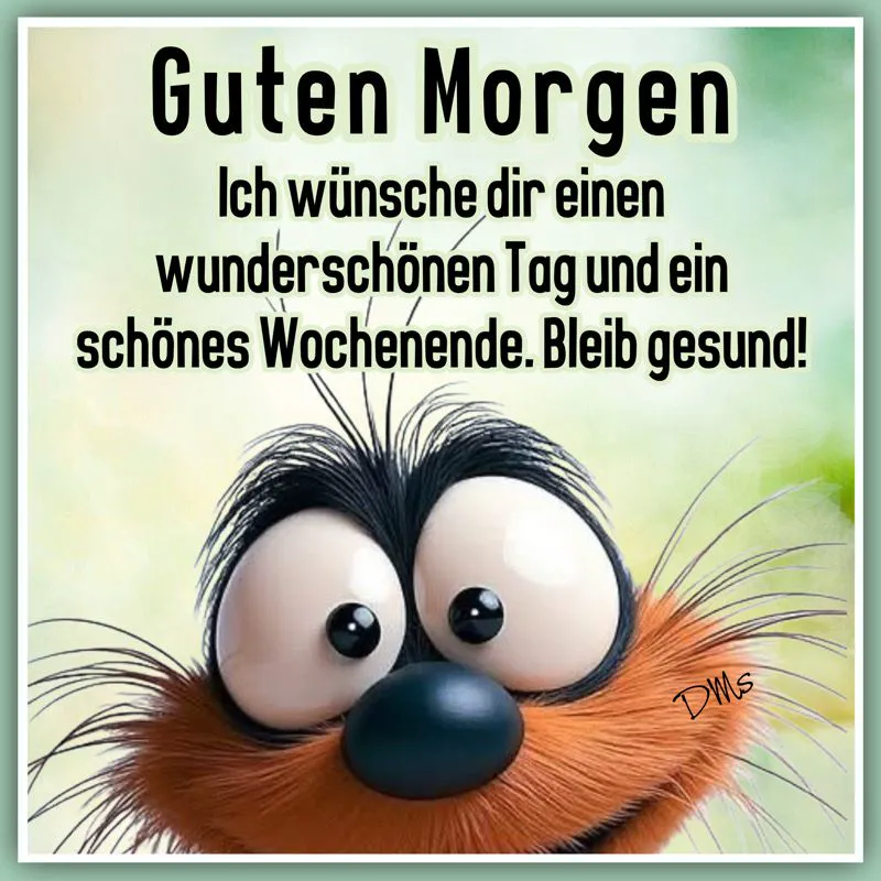 Ein Cartoon-Bild mit einem freundlichen, orange-braunen Gesicht mit großen Augen und buschigen Augenbrauen vor einem grünen und gelben Hintergrund.