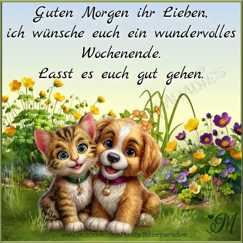 Ein niedliches Kätzchen und ein verspielter Welpe sitzen lächelnd inmitten einer bunten Blumenwiese. Sie wünschen gemeinsam ein fröhliches, sonniges Wochenende voller Harmonie und Geborgenheit.
