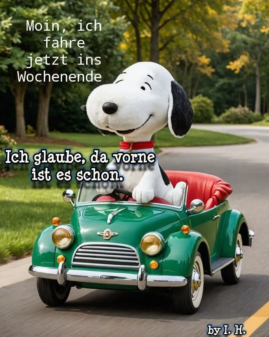 Ein weißer Hund mit schwarzen Ohren und einem roten Halsband sitzt in einem grünen Cabrio mit roten Sitzen und fährt auf einer Straße mit Bäumen und Gras im Hintergrund.