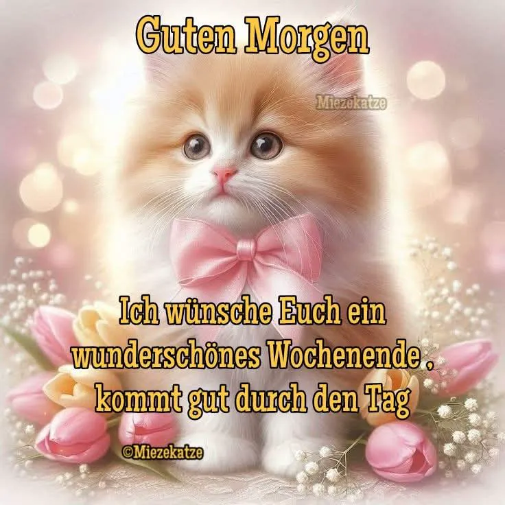 Flauschiges orange-weißes Kätzchen mit rosa Schleife und großen Augen, umrahmt von rosa Tulpen und kleinen weißen Blüten. Hintergrund weiches rosa Bokeh. Text: 'Guten Morgen, Ich wünsche Euch ein wunderschönes Wochenende'.