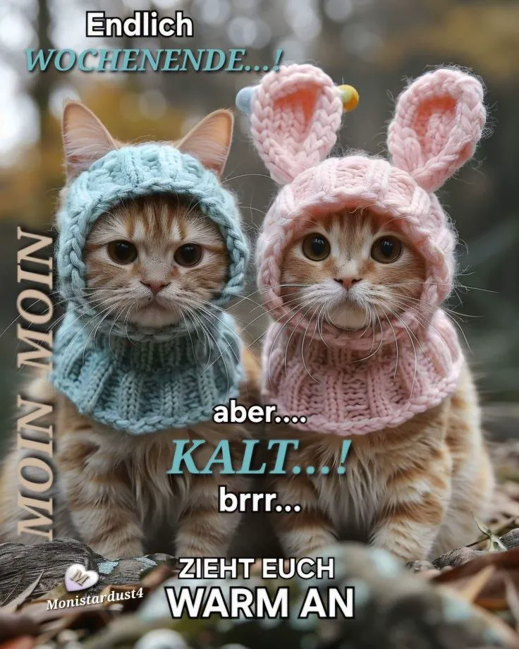 Zwei niedliche braun-getigerte Kätzchen tragen gestrickte Mützen in Hellblau und Rosa. Das rosa Mützchen hat Hasenohren. Die Katzen schauen direkt in die Kamera, umgeben von herbstlichen Blättern. Sie vermitteln eine süße und gemütliche Wochenendstimmung trotz Kälte.