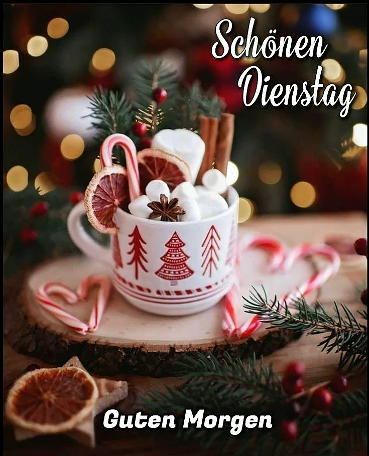 Ein festlich dekorierter Becher mit Marshmallows, Zimtstangen und Orangen auf Holzscheiben. Umgeben von Tannenzweigen und roten Beeren, im Hintergrund warme Lichter. Eine gemütliche Dienstag-Morgenstimmung.