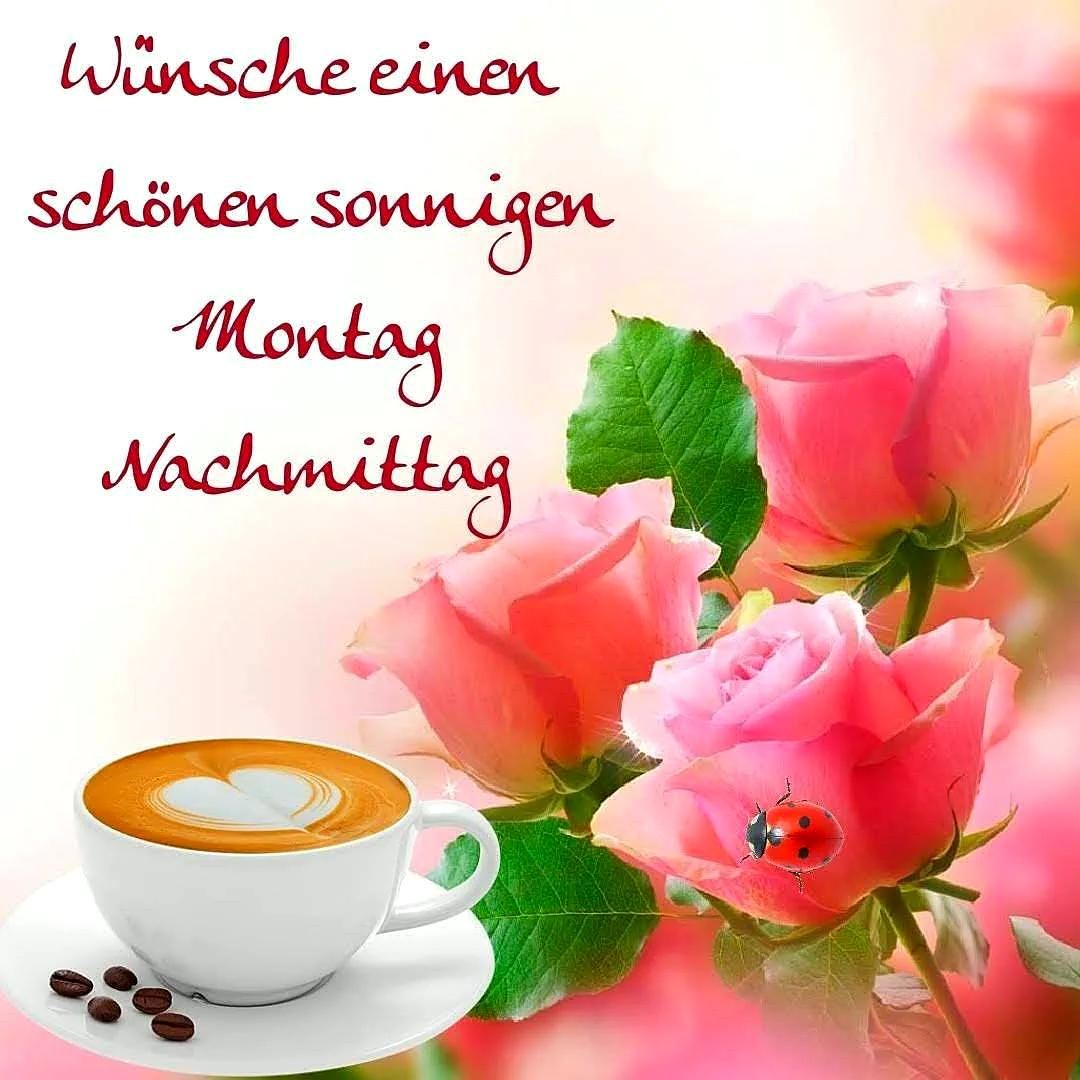 Eine weiße Tasse Kaffee mit Herz-Latte-Art und Kaffeebohnen auf einem Unterteller, umgeben von blühenden rosafarbenen Rosen und einem Marienkäfer, strahlt eine sonnige und motivierende Montagnachmittagsstimmung aus.
