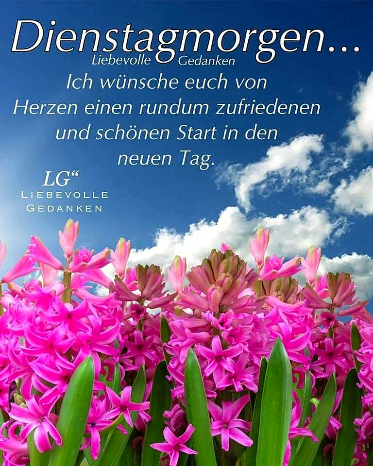 Ein leuchtendes Meer aus pinken Hyazinthenblüten unter einem strahlend blauen Himmel mit zarten weißen Wolken. Das Bild vermittelt eine fröhliche und hoffnungsvolle Morgenstimmung, ideal für einen produktiven Dienstagsgruß.