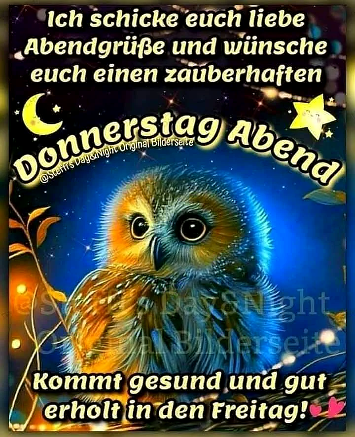 Ein niedliches Eulenbild vor einem sternenklaren Nachthimmel mit Mond und Sternen, umgeben von Blättern und warmen Lichtern.