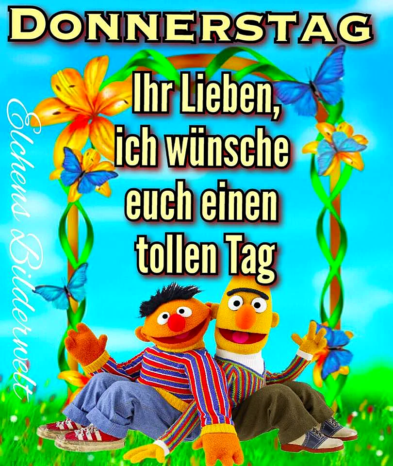 Ein Bild mit zwei gelben Sesamstraße-Puppen, die auf einer Wiese sitzen, umgeben von Blumen und Schmetterlingen, vor einem blauen Himmel.
