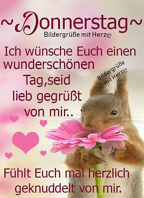 Ein niedliches Eichhörnchen hält eine rosa Blume im Maul und schaut freundlich. Der Hintergrund ist rosa-weiß, mit rosa Herzen.