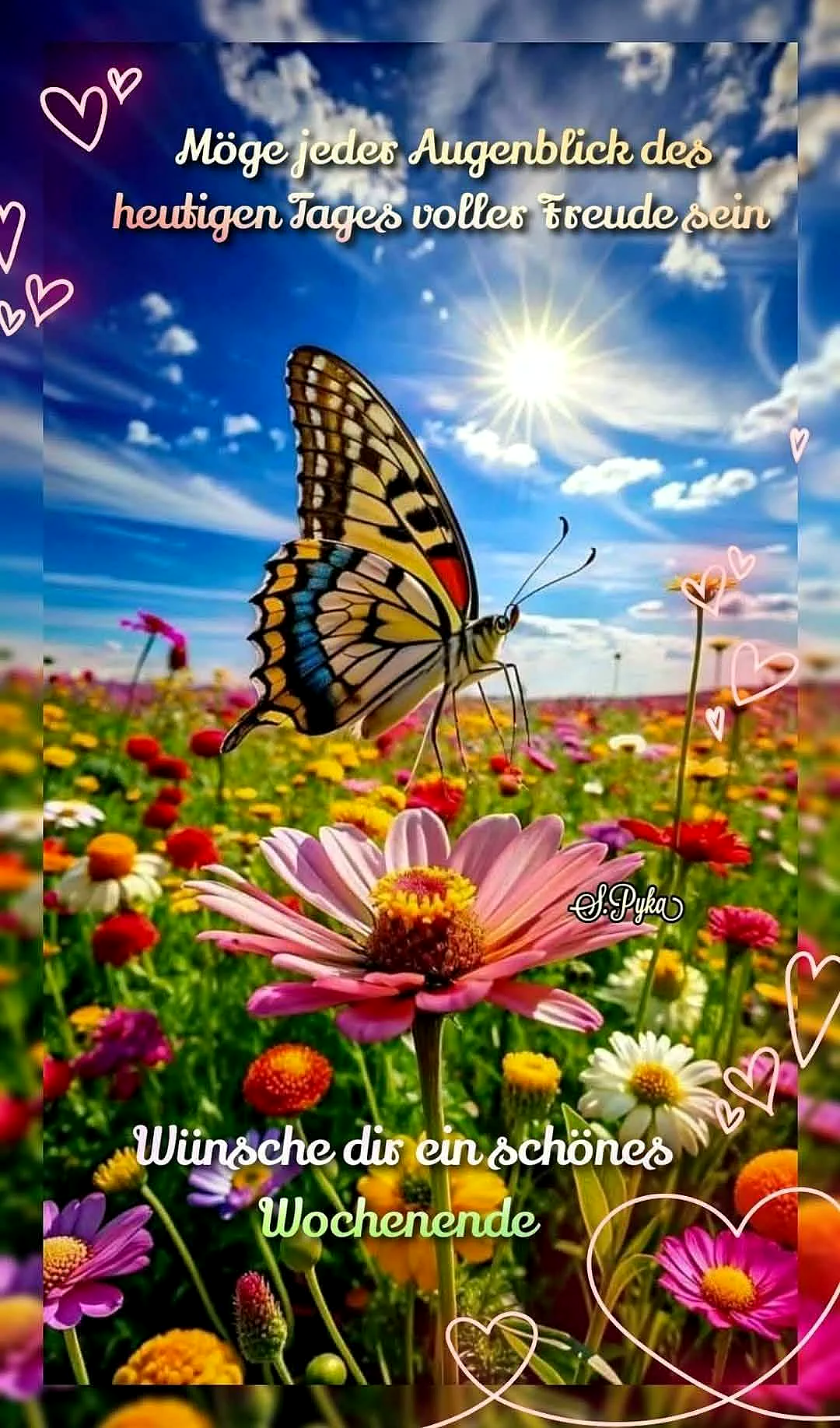 Ein Bild mit einer bunten Blumenwiese, einem Schmetterling auf einer rosa Blume, blauem Himmel und Sonnenschein.
