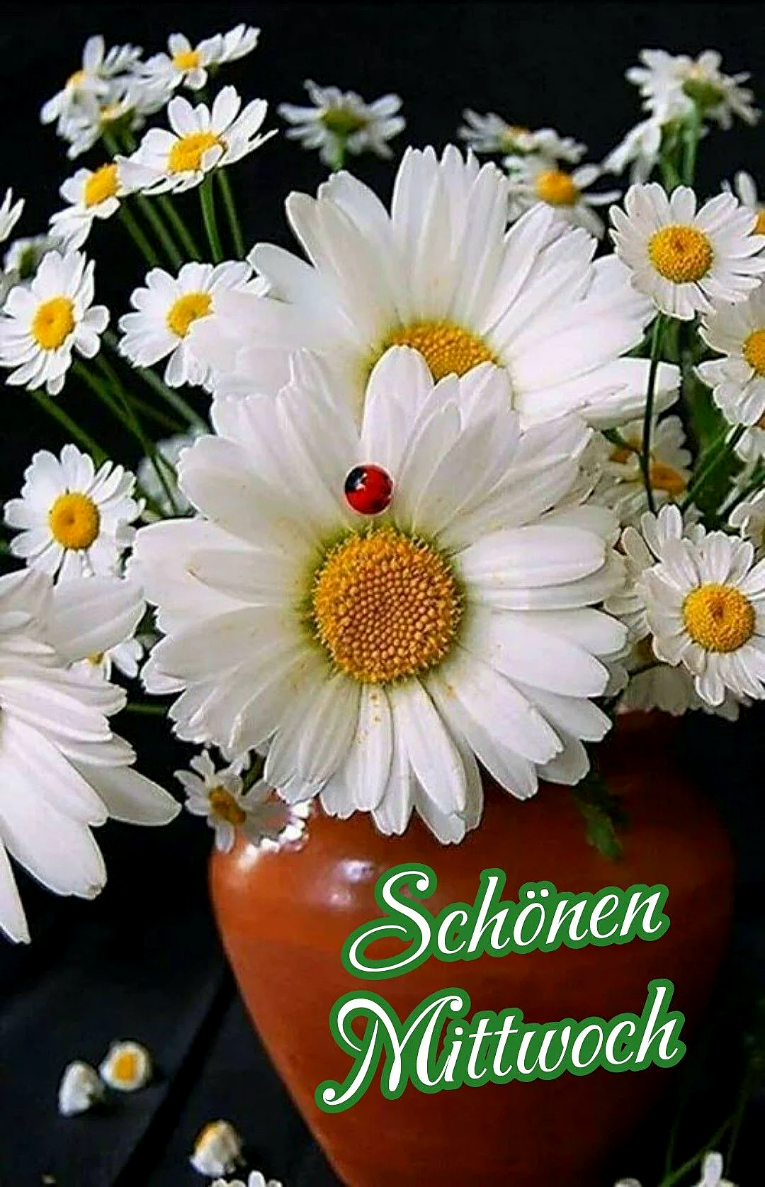 Ein Blumenstrauß aus weißen Margeriten in einer braunen Vase mit einem kleinen Marienkäfer auf einer Blüte, vor schwarzem Hintergrund.