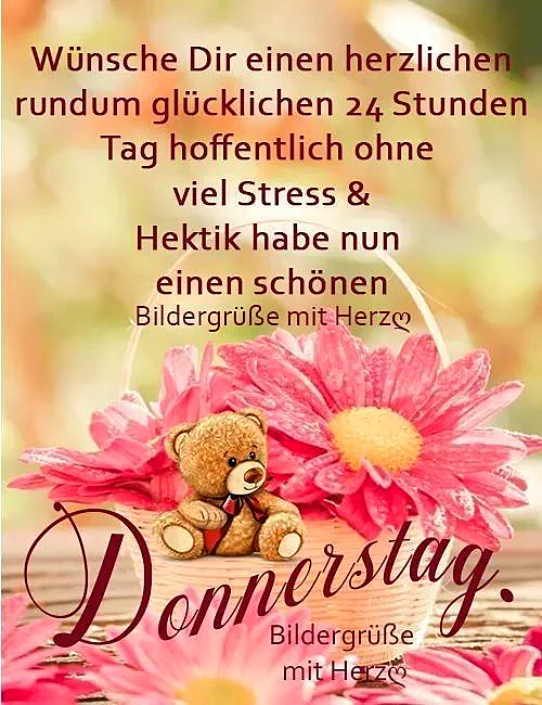 Ein flauschiger Teddybär mit roter Schleife sitzt in einem Korbtopf, umgeben von leuchtend pinken Gerbera-Blüten. Warme, sanfte Farben im Hintergrund schaffen eine gemütliche Donnerstag-Stimmung voller Vorfreude.