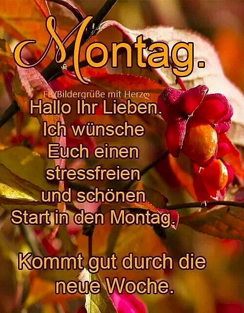Ein motivierender Montagsgruß vor einem herbstlichen Hintergrund. Warme Rottöne und orange Blätter umrahmen den Text: 'Ich wünsche Euch einen stressfreien und schönen Start in den Montag. Kommt gut durch die neue Woche.' Optimismus für den Wochenbeginn.