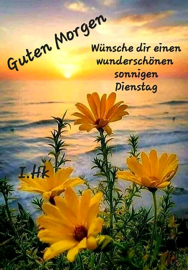 Ein beruhigendes Morgenbild mit leuchtend gelben Blumen im Vordergrund, während die Sonne golden über dem Meer aufgeht. Eine warme, friedliche Stimmung für einen schönen Dienstag.