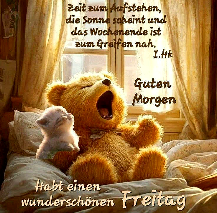 Ein Teddybär und ein weißes Kätzchen liegen auf einem Bett vor einem Fenster mit offenen Vorhängen. Der Teddy reckt sich gähnend, während das Kätzchen nach oben schaut. Die Sonne scheint herein.