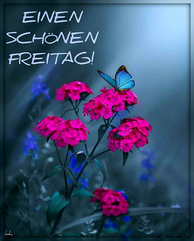Ein Bild mit pinken Blumen und einem blauen Schmetterling, im Hintergrund ein leicht unscharfer Garten mit blauen Blumen, ein sonniger Lichtkegel fällt von oben rechts auf die Blumen.