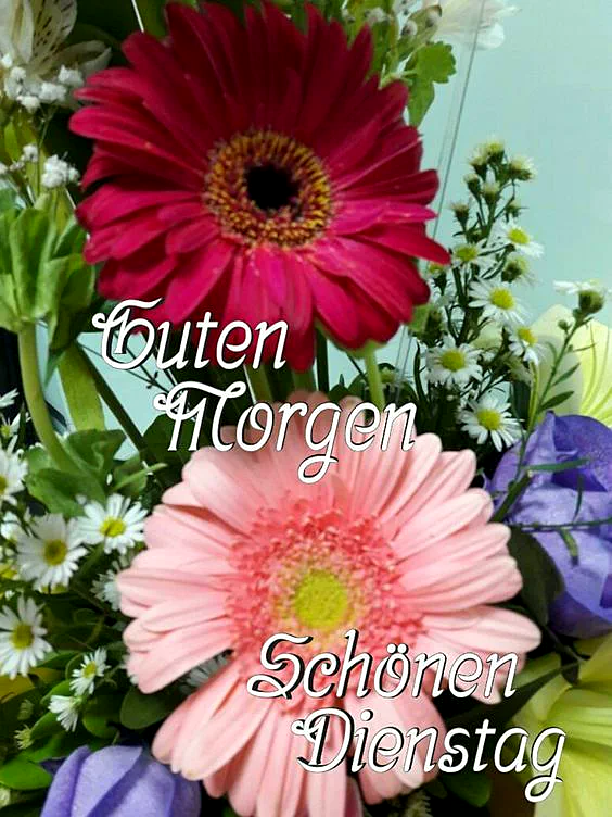Nahaufnahme eines lebhaften Blumenstraußes mit roten und rosa Gerbera, umgeben von kleinen weißen Blüten. Der Gruß 'Guten Morgen Schönen Dienstag' steht elegant im Bild. Frische und positive Stimmung.