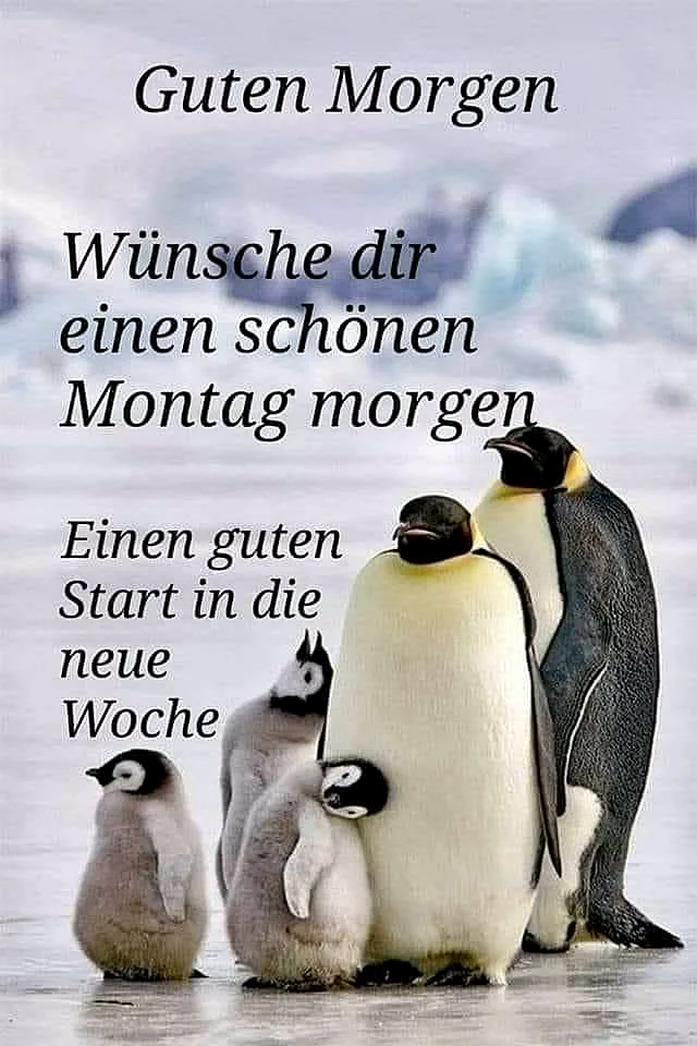 Pinguinfamilie auf Eis: Zwei erwachsene Pinguine und drei flauschige Küken, eins kuschelnd. Verschneite Landschaft mit Eisbergen im Hintergrund. Der Grußtext wünscht einen schönen Montagmorgen und einen guten Wochenstart.