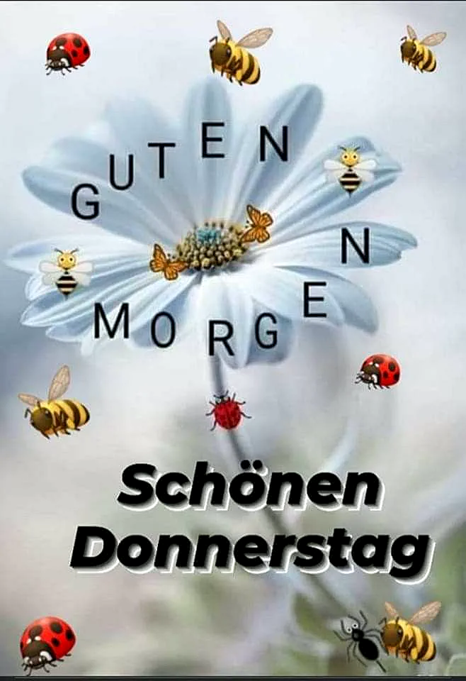 Ein helles, weißes Blütenblatt mit einer Vielzahl von Insekten wie Bienen, Schmetterlingen und Marienkäfern, die darum herumfliegen. Der Hintergrund ist ein weicher, verschwommener Kontrast.
