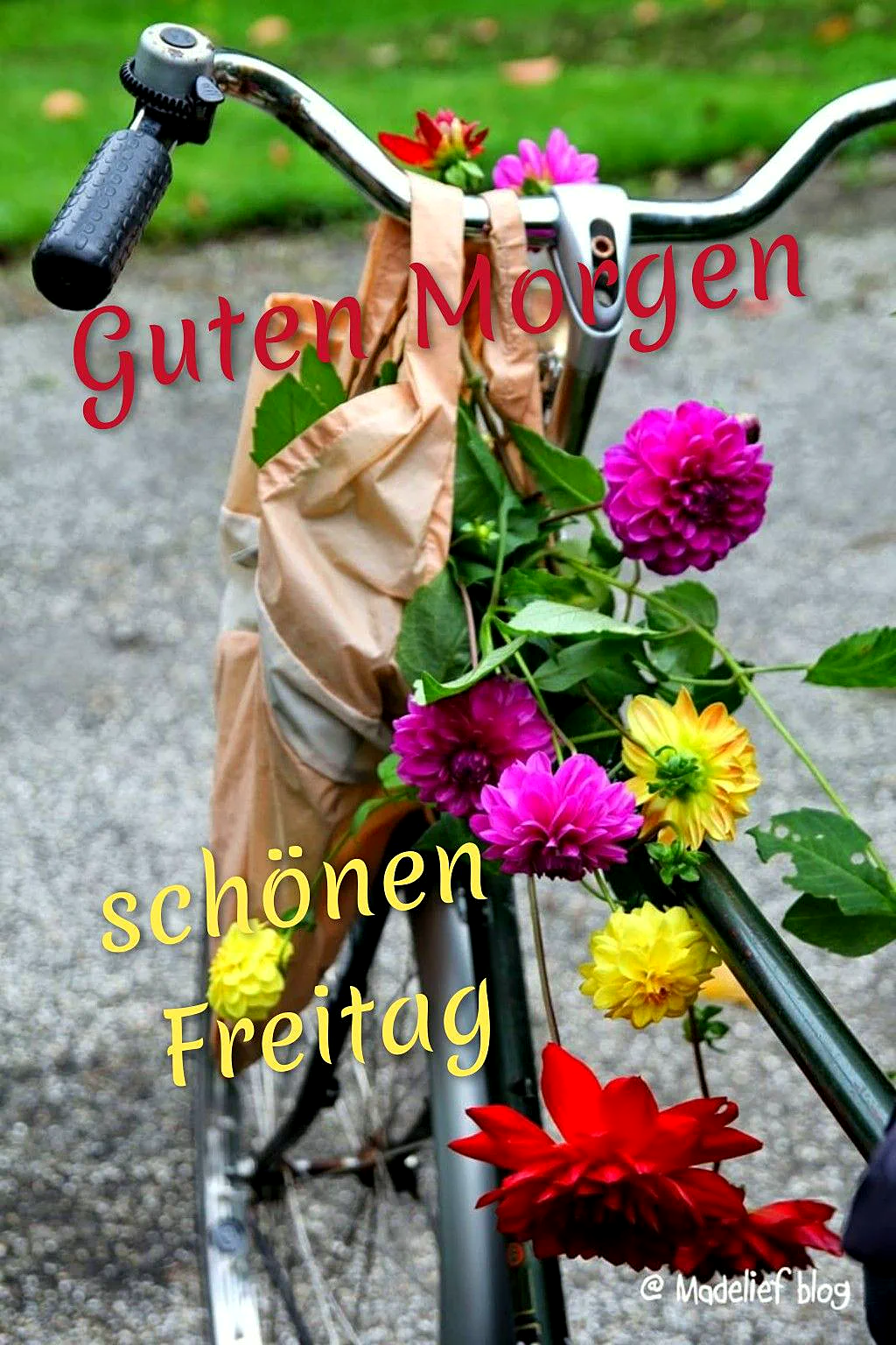 Ein Fahrradlenker ist liebevoll geschmückt mit einem Strauß leuchtender Dahlien in Pink, Gelb und Rot. Grüne Blätter und eine beige Tasche runden das Bild ab. Der Gruß 'Guten Morgen schönen Freitag' signalisiert Wochenendstimmung.